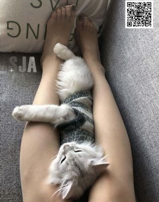 猩球崛起